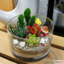 俏皮綠植送清涼，花卉禮品助你留住夏日清新